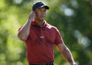 tiger