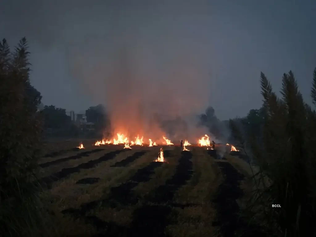 5 बजे की चाल: कैसे किसान उपग्रहों से बचाकर पराली जला रहे हैं, और सरकार को ग़लत तस्वीर मिल रही है